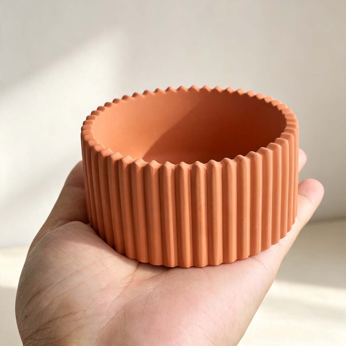 Moule en silicone pour pot de  - Potsticker Mold avis et prix